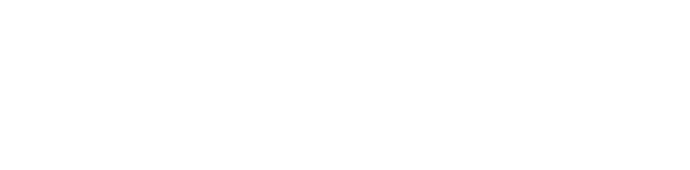 Resolute Partners Logo