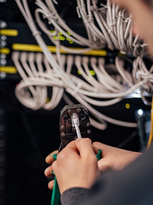 Government networks services